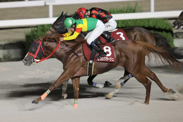 【高知競馬　福永洋一記念】エコロクラージュ　豪快に差し切り重賞4V　小牧太の好騎乗光る