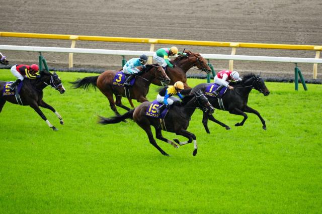 ＜東京11R・オークス＞レースを制したカムニャック（手前）と2着のアルマヴェローチェ（手前奥）、3着のタガノアビー（奥）＝撮影・河野　光希