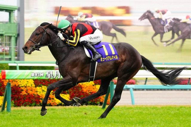 【日本ダービー展望】ミュージアムマイル2冠か　クロワデュノール雪辱か