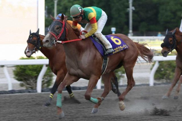 【高知競馬　福永洋一記念】エコロクラージュ　豪快に差し切り重賞4V　小牧太の好騎乗光る