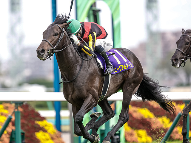 競馬の祭典・日本ダービーなど3重賞/今週の競馬界の見どころ