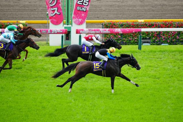 【オークス】カムニャックG1初制覇!壮絶叩き合い制した「素晴らしい馬」シュタルケJRA・G1初勝利
