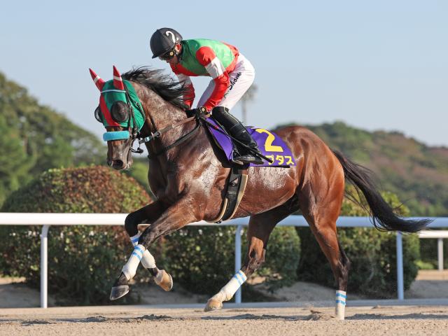 ダートグレード競走5勝のラプタスが登録抹消 今後は乗馬に