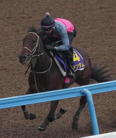 【日本ダービー】ファンダム軽快4F57秒3　史上12頭目の無敗ダービー馬へ「対応できる力ある」