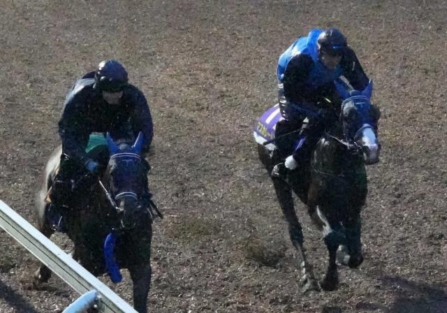 ＜日本ダービー日曜追い切り＞坂路を駆け上がるマスカレードボール（右）（撮影・郡司　修）