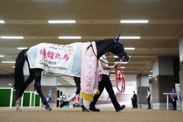 【オークス】社台F通算10勝目　“キタサン配合”結実　吉田代表「牝馬とは思えないくらい雄大」