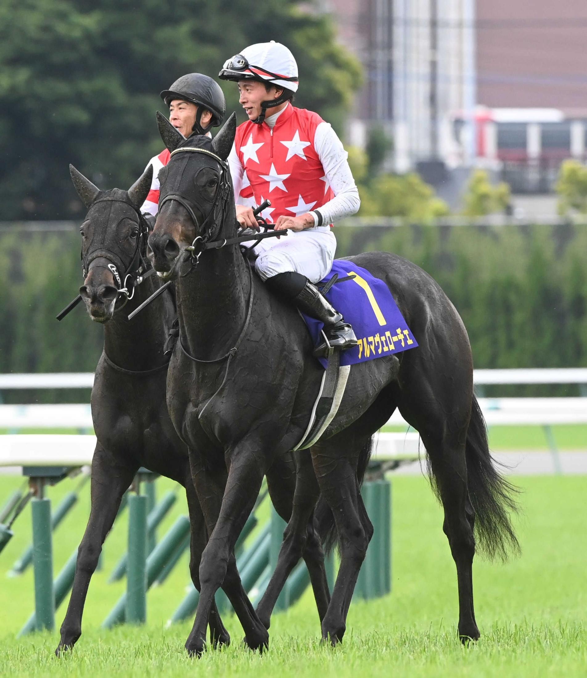 【オークス】アルマヴェローチェ　惜しくも頭差２着…牝馬クラシック２戦連続　岩田望「また秋に巻き返したい」　