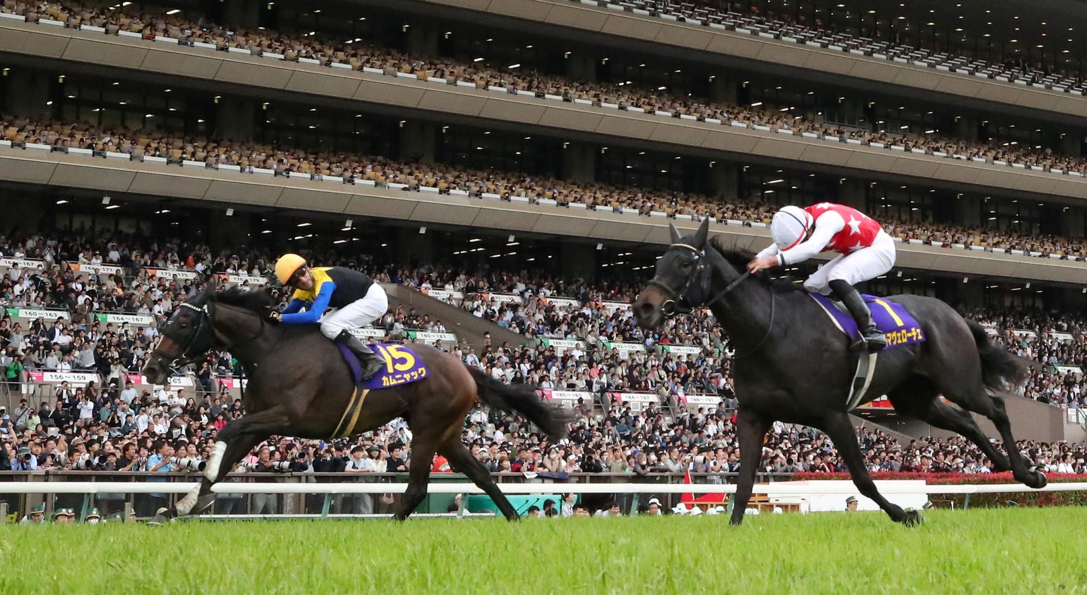 【南井克巳元調教師　豪腕の視点】レースぶりは一番だったアルマヴェローチェ　個人的には文句なしのレース
