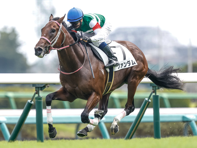 【日本ダービー見どころ】クラシック別路線組のファンダムに注目