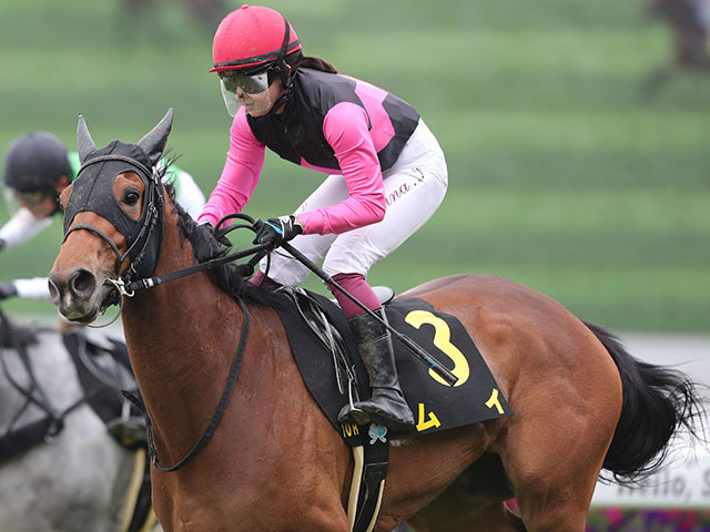 【葵S想定騎手】ムイは今村聖奈騎手、ウイントワイライトはA.シュタルケ騎手