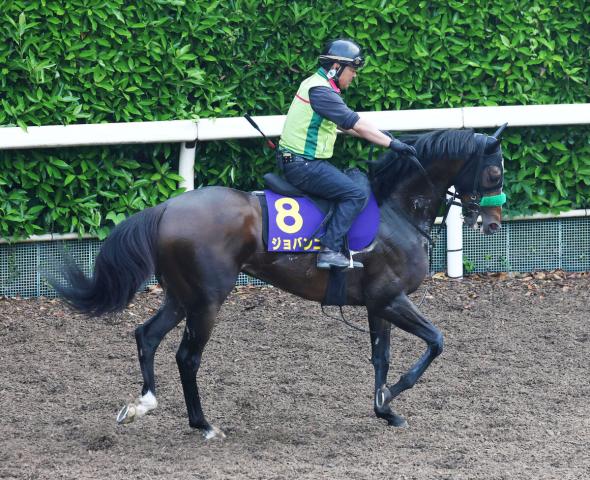 【日本ダービー・戸田の特注馬】安定感抜群のジョバンニ　初の東京コースも問題なし