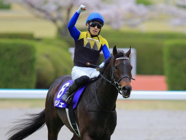 【先週のJRA抹消馬】22年大阪杯覇者ポタジェ、ダートグレード競走5勝のラプタスなど