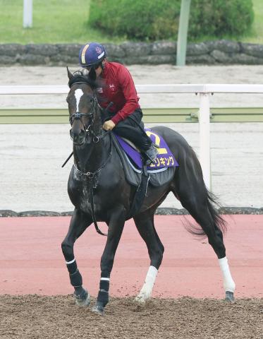 【日本ダービー・玉木の特注馬】エリキングは初めての府中がプラス　大跳びでエンジンのかかり遅いタイプ　