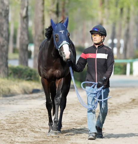 【日本ダービー】マスカレードボールは東京で能力全開　坂井瑠星騎手は素材を高評価「ポテンシャルはG1級」