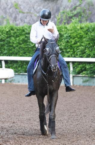 【日本ダービー】皐月賞2着のクロワデュノールはリラックス　陣営「今回の方がいい。勝てる力はある」