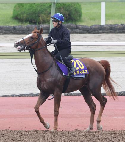 【日本ダービー】レディネスがプリンシパルSから初の戴冠へ　陣営「ポテンシャルの高さに期待したい」