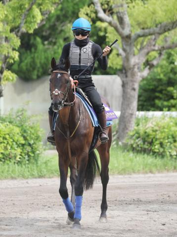 【日本ダービー】ファイアンクランツは距離と安定感が魅力　ダービー初騎乗の佐々木大輔騎手「本当に感謝」