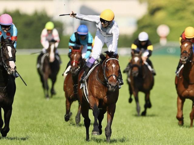 日本ダービーの勝ち時計ベスト5 ディープやキンカメ、ドウデュースなど名馬がズラリ
