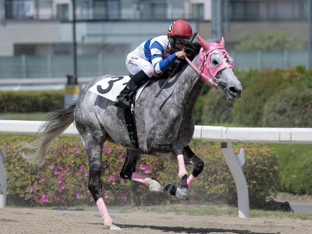 ルーキー中山遥人騎手が初勝利 珍名馬スモモモモモモモモ導く