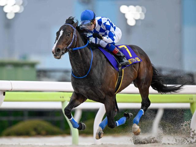 【浦和・プラチナC枠順】前々走でフジノウェーブ記念を圧勝したイグザルトは5枠5番