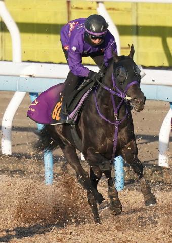 ダービー卿CT覇者トロヴァトーレ　横山武との再コンビで安田記念参戦
