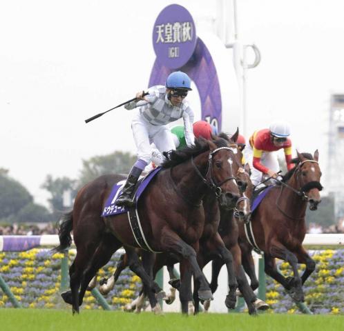 日本ダービー出走の3歳馬は人間でいうと何歳?　馬と人間、年齢関係の仮説