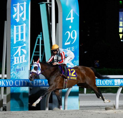 【東京ダービー】選定馬を発表　羽田盃Vナチュラルライズ　ユニコーンS覇者カナルビーグルなどエントリー