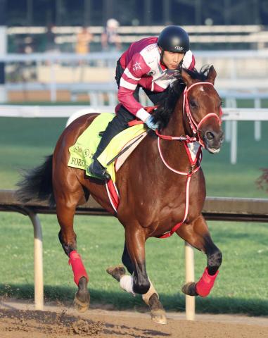 セレクトセール2025上場馬発表　初日1歳馬セッションにフォーエバーヤング、リバティアイランドの半弟など登場