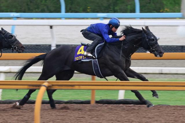 【日本ダービー】クロワデュノール　状態に自信　陣営「皐月賞の前よりいい」