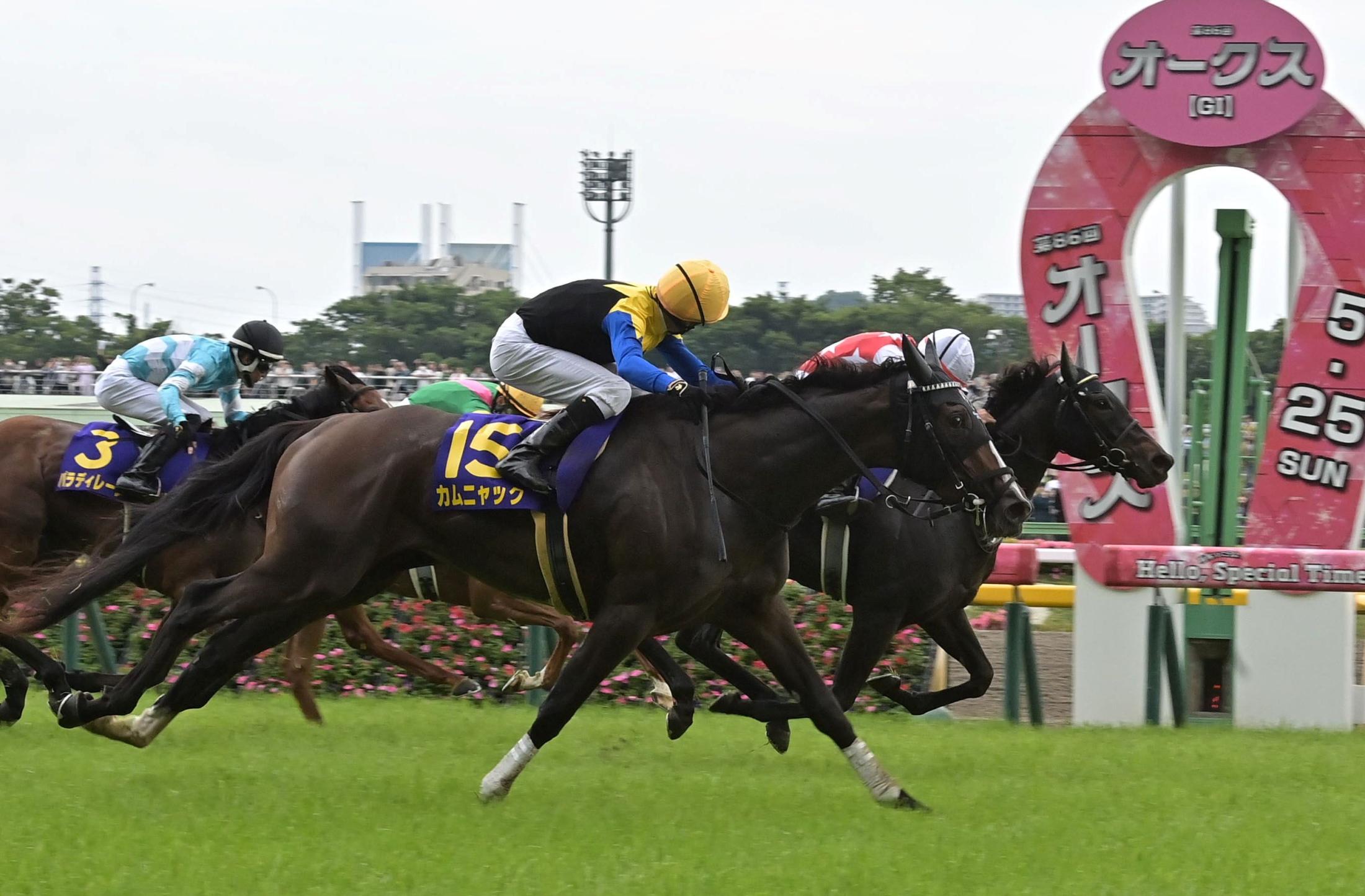 カムニャック　激闘後の愛馬に花田助手「問題なく放牧へ出せた」　オークス一夜明け