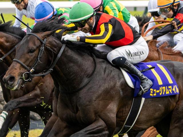 【日本ダービー】史上2頭目の異なる騎手での牡馬二冠制覇へ 皐月賞馬のミュージアムマイルはレーン騎手と初コンビだ