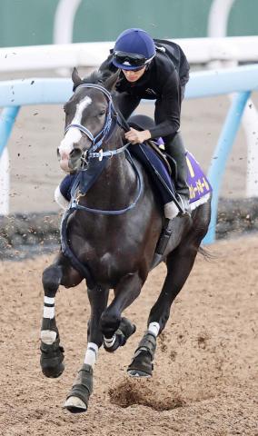 【日本ダービー】ストライドが大きいマスカレードボール　手塚久調教師「オークスくらいの馬場なら」