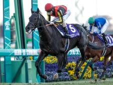 予想オッズ1番人気のクロワデュノール(撮影：下野雄規)