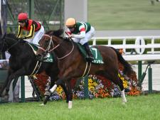 無傷3連勝で毎日杯を制したファンダム(c)netkeiba