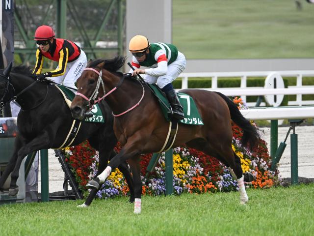 【日本ダービー過去10年傾向】前走皐月賞組が圧倒的 別路線では毎日杯組に注目