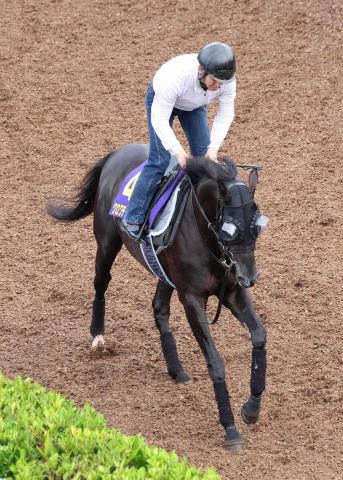 【日本ダービー】クロワデュノール　坂路2本乗りで順調調整　馬体ふっくら10キロ増