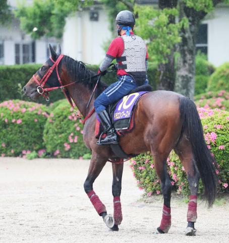 【日本ダービー】開業2年目で夢の舞台へ　藤野健太調教師ドラゴンブーストで“師弟対決”