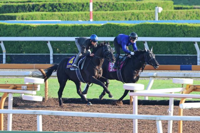 【日本ダービー】クロワデュノールはCWコースで絶品の11秒2　斉藤崇調教師「一段、二段と上がっている感じ」