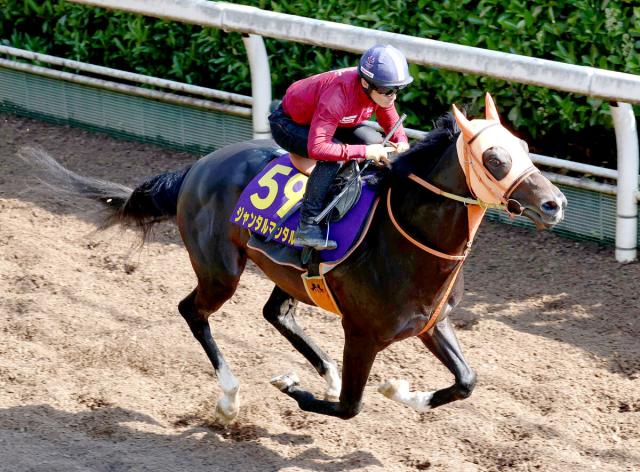 【安田記念・1週前】ジャンタルマンタルが復活Vへ坂路で好時計　高野調教師「いい進み方をしていた」