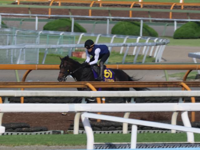 ジュンブロッサムなど、安田記念1週前追い切り速報/栗東トレセンニュース