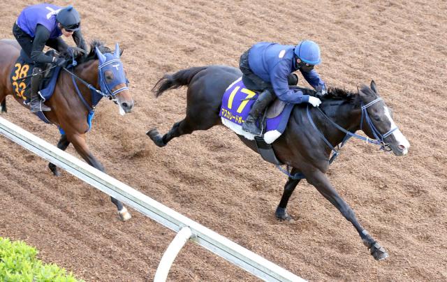 【日本ダービー】皐月賞3着マスカレードボールは坂路で自己ベスト更新　手塚調教師が好感触「動きも時計も…」