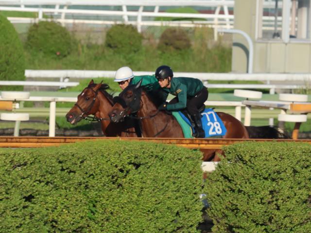 ベラジオオペラ、宝塚記念2週前追い切り速報/栗東トレセンニュース