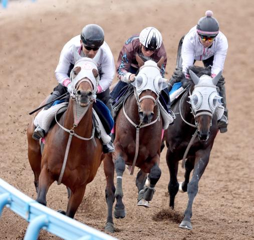 【日本ダービー】無傷3連勝中のファンダムは北村宏司騎手と最終デモ「活発に動けていた」「僕も楽しみ」