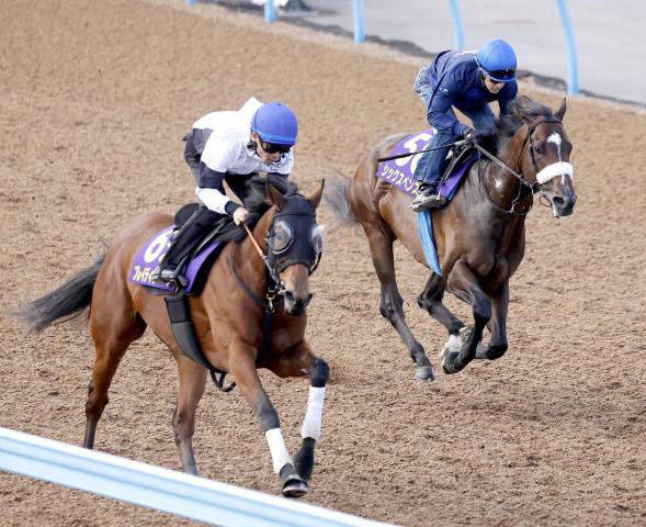 【安田記念・1週前】ブレイディヴェーグとシックスペンスが調教で共演　ルメール騎手「ハイレベルな追い切り」