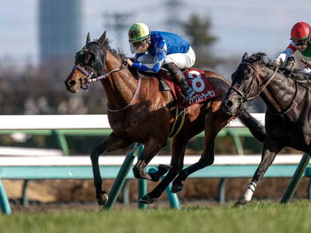 【日本ダービー】登録20頭の香港馬名と馬名意味を紹介 「自家專屬」「草地法師」はどの馬？
