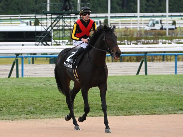 【週末情報】ミュージアムマイル好調キープ 2冠達成へ抜かりなし/馬三郎のつぶやき
