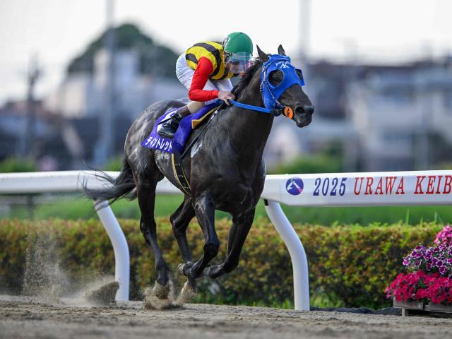 【浦和・プラチナC結果】5番人気ティントレットが完勝で重賞2勝目を挙げる