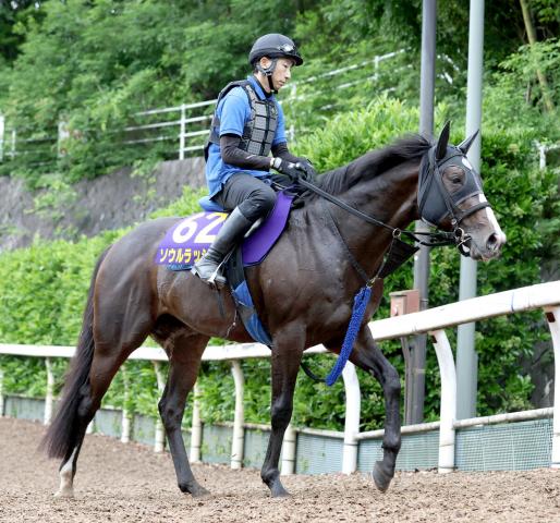 【注目馬動向】ソウルラッシュが英マイルG1・サセックスSに登録　池江調教師「あくまでも予備登録です」