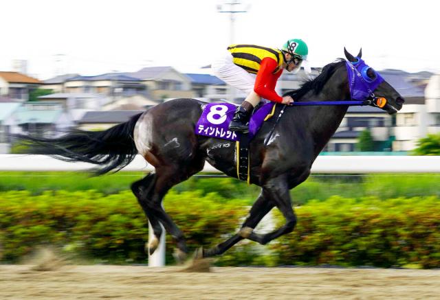 ティントレットがプラチナC優勝　浦和競馬