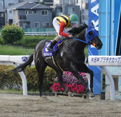 【浦和競馬　プラチナC】ティントレットが重賞2勝目　課題クリアでさあ、さきたま杯へ